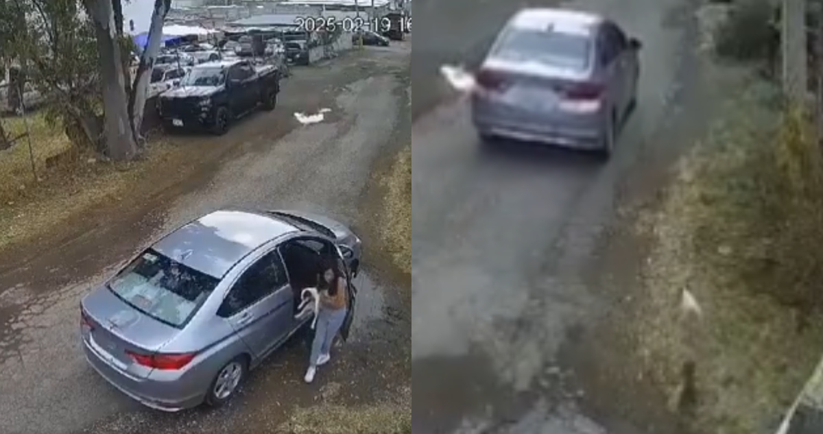 Señalan a mujer por abandono y maltrato animal en Puebla.
