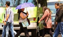 Las olas de calor son cada vez más comunes en México y, en particular, en la CdMx.
